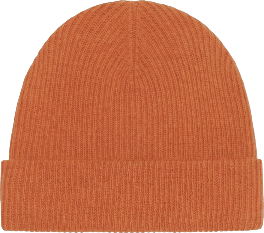 Persimmon Beanie